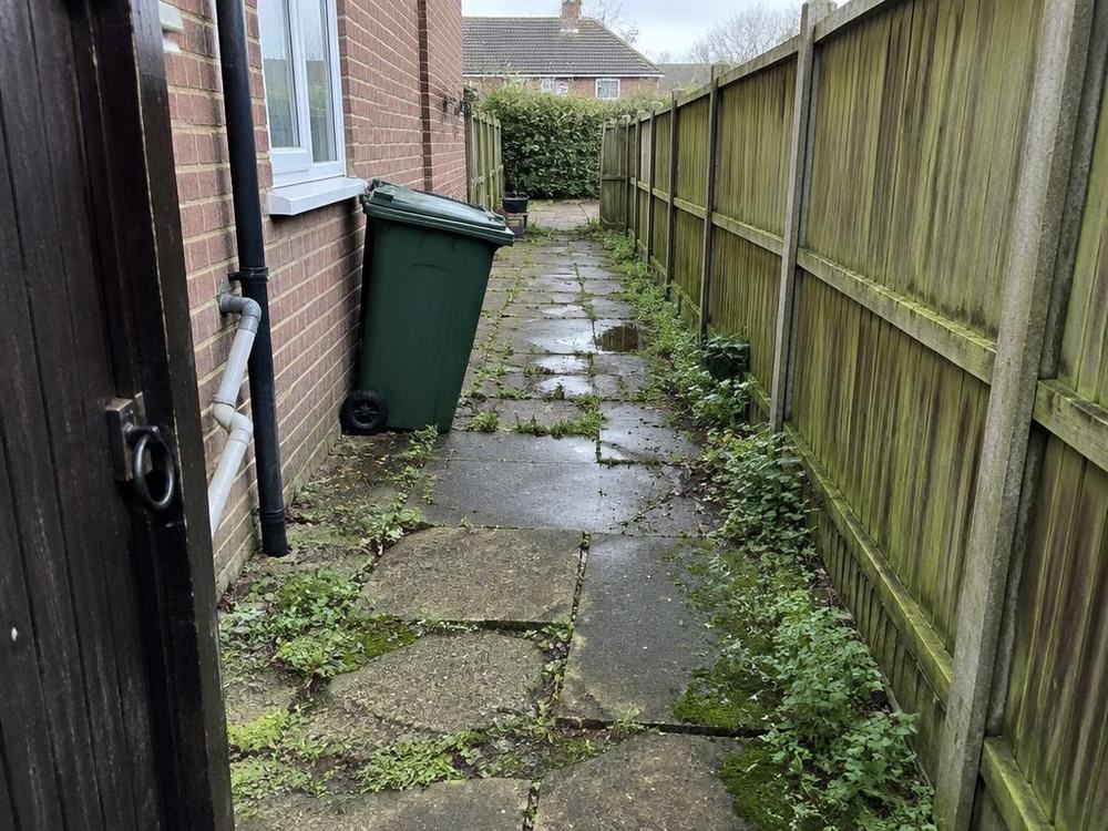 Side path & fence — before